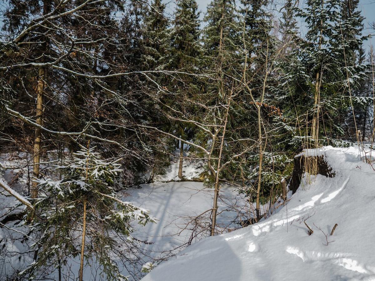 Pension Pod Morskym Okem Karlovice  ภายนอก รูปภาพ