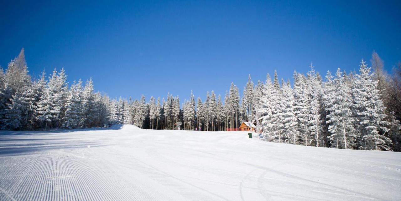 Pension Pod Morskym Okem Karlovice  ภายนอก รูปภาพ